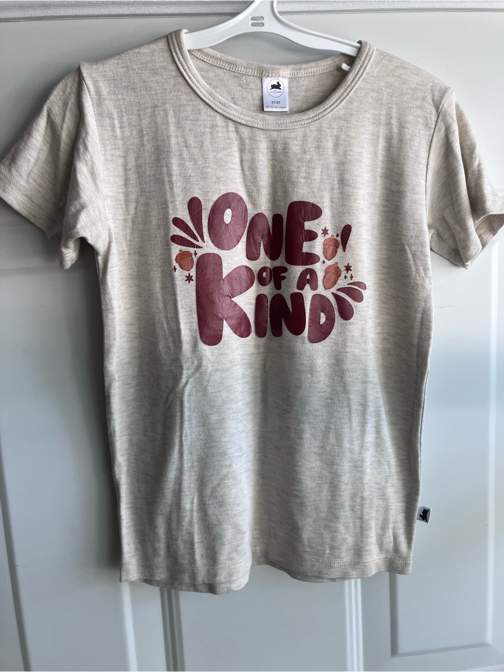 Little & lively one of a kind fall acorn shirt 3T 4T